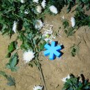 클래식기타(야간) 이미지