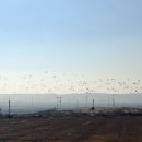 솔소리농장 이미지