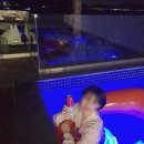 스테이숨 이미지