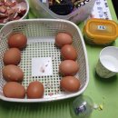 장기동애니카손세차장 네이버블로그