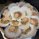 당리동사람들 | 더가리비/ 가리비구이/ 하단조개구이/ 당리동맛집/ 당리역맛집/ 솔직후기/ 하단역 근처 술집/ 하단 맛집...
