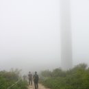 OK목장 이미지