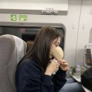앙큼꼬마김밥