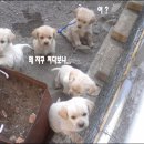 노상 이미지
