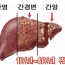 간 기능과 영양성분 이미지