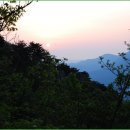 (주)오월의아침 이미지