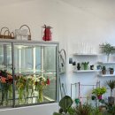 Flowershop 이미지