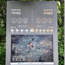 안녕초등학교 | [경기옛길] 삼남길 5길, 6길, 7길 2024.4.28