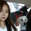 디제이 뭉 이미지