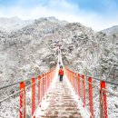 출렁다리(1) 이미지