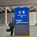 찌르레기 화장실 | 뚜벅이의 강릉 당일치기 뽀개기 (탐조, 맛집, 소품샵)