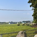 충만목장 이미지