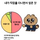 포항 양덕동 미용실 더샵헤어, 얼룩없는 뿌리염색 후기