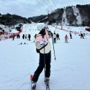 비발디파크 스키장 렌탈샵 스키보드 할인 장비 대여후기
