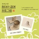연서 이미지