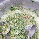 박진수농장 이미지