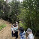 🌳느티나무 선생님과 여름 나무, 책의 역사 이미지