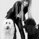 펫스미스 이미지