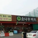 소나무마트 이미지