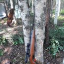 서쪽마을 이미지