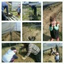 김부자농장 이미지