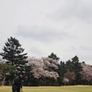 하정로 | 동래 베네스트 CC | 부산 명문 구장 벚꽃 라운딩 후기