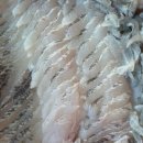 선학산횟집 이미지