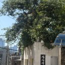 정겨운한의원 | [강남 한의원] 안면비대칭 교정 전문 ‘심용섭십장생한의원’ 방문