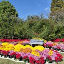 (주)메디어트 이미지