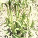 고향농장 이미지