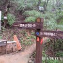 성관목장 Daum카페