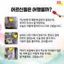 여명노인복지센터 Daum카페