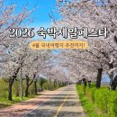 합도초교 | 2026 대한민국 숙박세일페스타 4월 숙박대전 쿠폰 받는법 숙소 추천