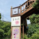 덤갤러리 이미지