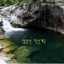 늘푸른계곡 이미지
