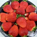 ❤️(2/23)순이네 과일상자❤️ 딸기, 애플청포도, 금귤, 체리, 스테비아방토, 약단밤, 배, 단감 등! 이미지
