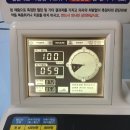 바보죽사랑