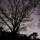 별화당 - 완주군 | 별화당