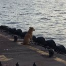 이완재 | 청년인턴(서류, ai역량검사, 토론, 개인PT, 인성 면접, 인턴후기, 우수인턴까지 기타 등등등 알려드릴게용)