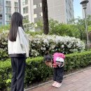 🐰로디만 김채아🐰 인사꽃이 피었습니다! 이미지