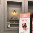 Pet salon 이미지