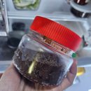 안흥근처 횡성 한우 : 횡성순한우 - 카카오맵 4.9맛집인정! 위치/공간/주차/후기