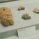 인하대학교박물관 이미지