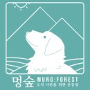 댕댕이 운동장 이미지