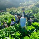 중계어린이집 이미지