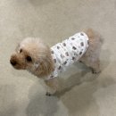 남동62 | 인천 남동구 필라테스｜호호필라테스 만수점｜만수동 필라테스 그룹수업 후기