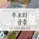 푸조와곰솔 이미지