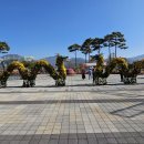 거창 창포원 국화축제 이미지