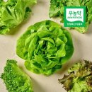 쌈 쇼핑하우