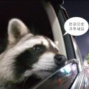 망정작은도서관 | [여행기] 대통령 뽑으려고 고베간 썰 푼다.